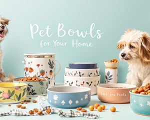 Collection image for: Pet Bowls
