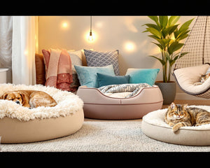 Collection image for: Pet Beds