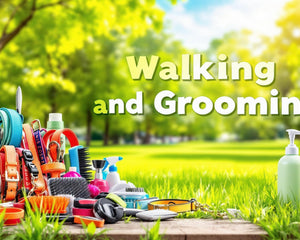 Collection image for: Pet Walking And Grooming