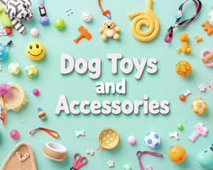 Collection image for: Dog Toys And Accessories