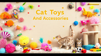 Cat Toys And Accessories