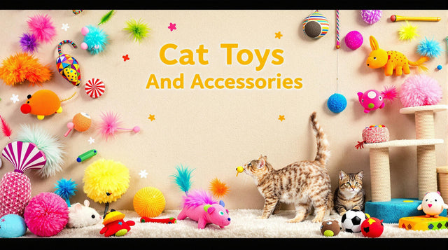 Cat Toys And Accessories