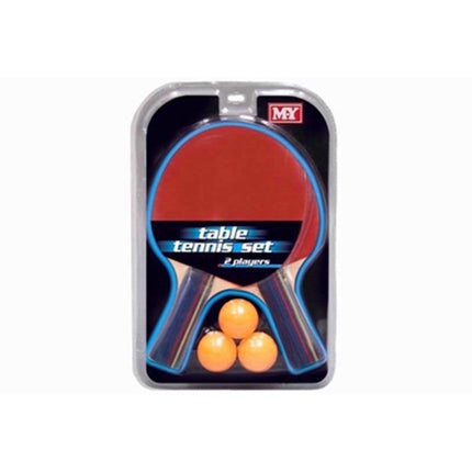 Table tennis set, two players